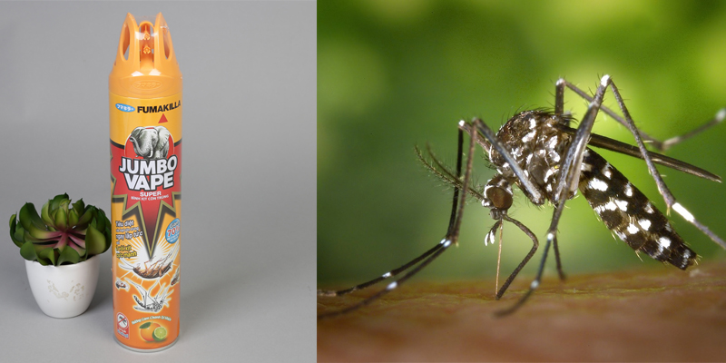 Cách sử dụng thuốc diệt muỗi đúng cách